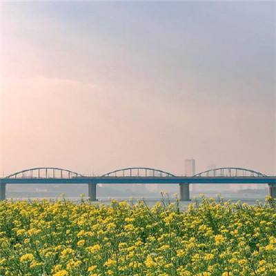 柳州市柳南区：红桥“四部曲”，提升微治理